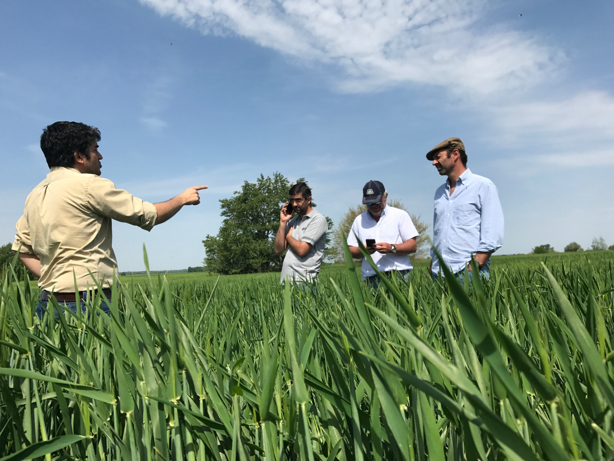 Apoyo estratégico para una transición hacia la agricultura regenerativa en Polonia